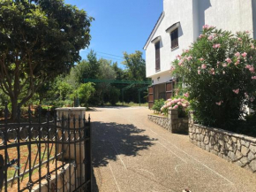 Draga Rooms